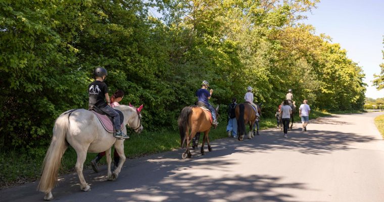 1. Mai am Ponyhof
